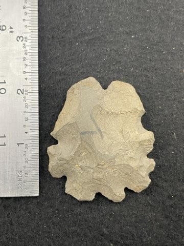 Eccentric Indian Artifact Arrowhead: KEY WORDS: INDIAN ARTIFACT ARTIFACTS ARROWHEAD ARROWHEADS NATIVE AMERICAN MISSISSIPPIAN QUAPAW CADDO POTTERY COINS MORGAN DOLLAR PEACE DOLLAR SILVER COINS. All coins have been Sigma tested for authent