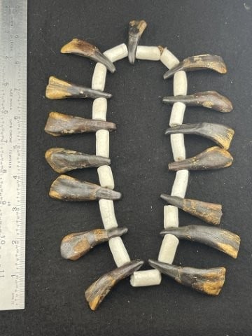 Elk Tooth & Trade Bead Necklace Indian Artifact Arrowhead: KEY WORDS: INDIAN ARTIFACT ARTIFACTS ARROWHEAD ARROWHEADS NATIVE AMERICAN MISSISSIPPIAN QUAPAW CADDO POTTERY COINS MORGAN DOLLAR PEACE DOLLAR SILVER COINS. All coins have been Sigma tested for authent