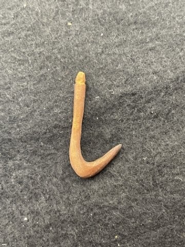 Bone Hook Indian Artifact Arrowhead - 2