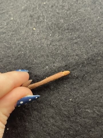 Bone Hook Indian Artifact Arrowhead - 3