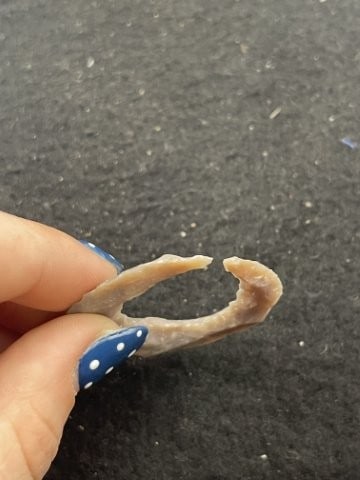 Eccentric Indian Artifact Arrowhead - 3