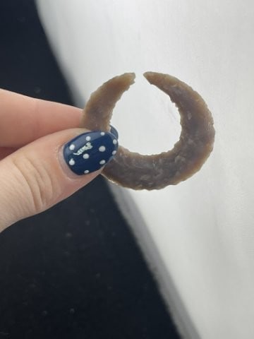 Eccentric Indian Artifact Arrowhead - 4