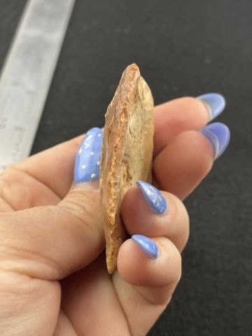 Blunt Indian Artifact Arrowhead - 4