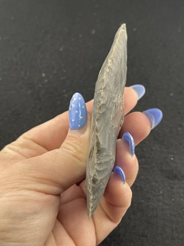 Turkeytail Blade Indian Artifact Arrowhead - 4