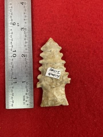 2 & 1/2" Serrated Hardin from Finley County, Illinois Indian Artifact Arrowhead: KEY WORDS: INDIAN ARTIFACT ARTIFACTS ARROWHEAD ARROWHEADS NATIVE AMERICAN MISSISSIPPIAN QUAPAW CADDO POTTERY COINS MORGAN DOLLAR PEACE DOLLAR SILVER COINS. All coins have been Sigma tested for authent