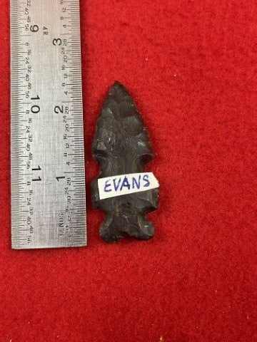 2 & 1/4" Evans from Louisiana Indian Artifact Arrowhead: KEY WORDS: INDIAN ARTIFACT ARTIFACTS ARROWHEAD ARROWHEADS NATIVE AMERICAN MISSISSIPPIAN QUAPAW CADDO POTTERY COINS MORGAN DOLLAR PEACE DOLLAR SILVER COINS. All coins have been Sigma tested for authent