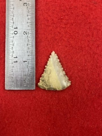 Arrow Point Indian Artifact Arrowhead: KEY WORDS: INDIAN ARTIFACT ARTIFACTS ARROWHEAD ARROWHEADS NATIVE AMERICAN MISSISSIPPIAN QUAPAW CADDO POTTERY COINS MORGAN DOLLAR PEACE DOLLAR SILVER COINS. All coins have been Sigma tested for authent
