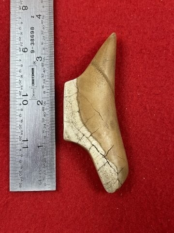 Birdstone Indian Artifact Arrowhead - 2
