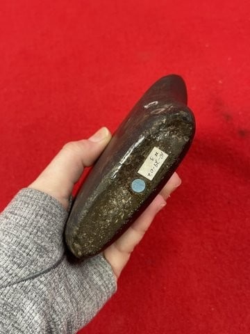 Celt Indian Artifact Arrowhead - 5