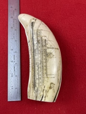 Scrimshaw Art in Resin: KEY WORDS: INDIAN ARTIFACT ARTIFACTS ARROWHEAD ARROWHEADS NATIVE AMERICAN MISSISSIPPIAN QUAPAW CADDO POTTERY COINS MORGAN DOLLAR PEACE DOLLAR SILVER COINS. All coins have been Sigma tested for