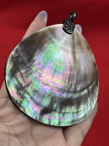 Shell Pendant with Sterling Clasp - 5