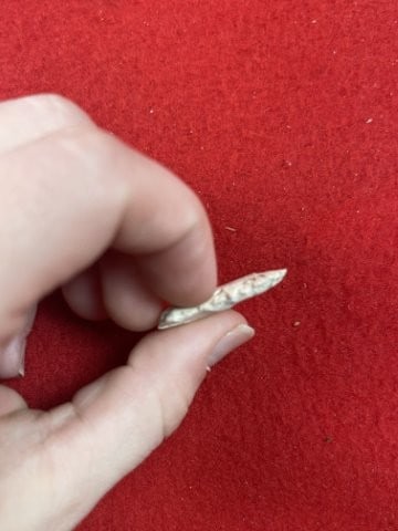 Fox Valley Indian Artifact Arrowhead - 3