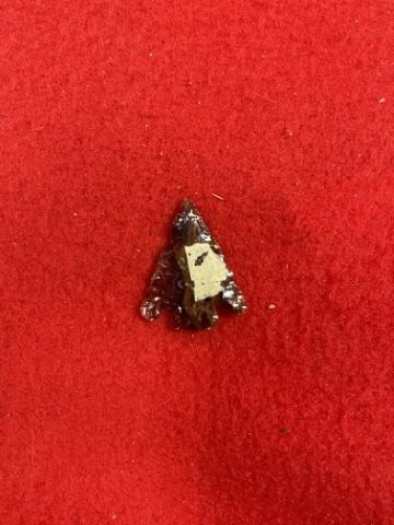 Gem Quality Bird Point Indian Artifact Arrowhead - 2