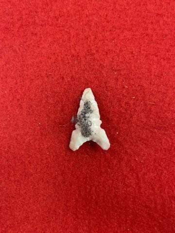 Arrow Point Indian Artifact Arrowhead - 2