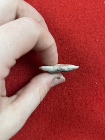Arrow Point Indian Artifact Arrowhead - 3