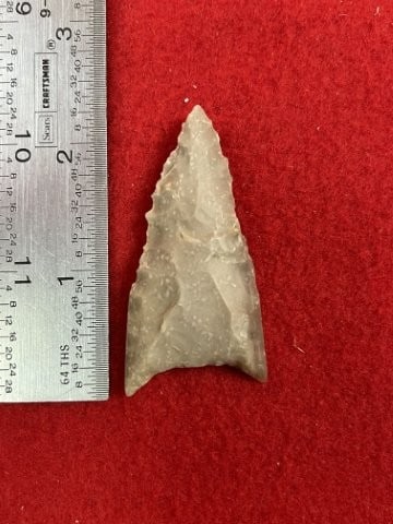 Dalton from Texas Indian Artifact Arrowhead: KEY WORDS: INDIAN ARTIFACT ARTIFACTS ARROWHEAD ARROWHEADS NATIVE AMERICAN MISSISSIPPIAN QUAPAW CADDO POTTERY COINS MORGAN DOLLAR PEACE DOLLAR SILVER COINS. All coins have been Sigma tested for authent
