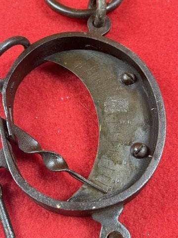 Buffalo Hide Scale - 3