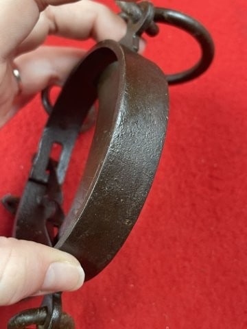 Buffalo Hide Scale - 6