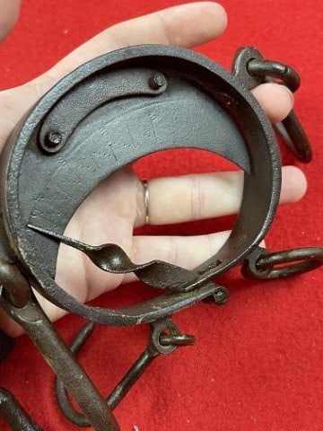 Buffalo Hide Scale - 7