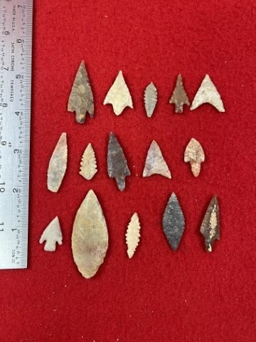 Group of Neolithic Arrow Points Indian Artifact Arrowhead (1 of 5)