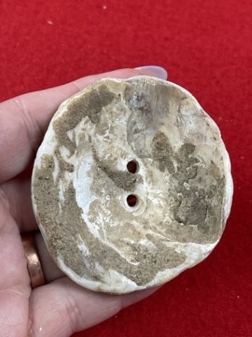 Shell Gorget Indian Artifact Arrowhead - 2