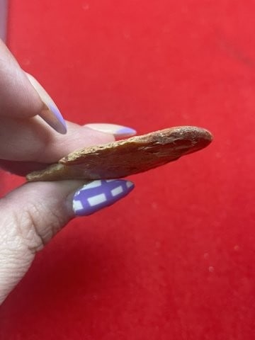 Arrow Point Indian Artifact Arrowhead - 4