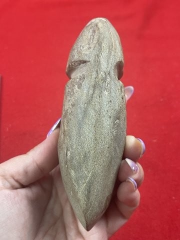 Grooved Axe Indian Artifact Arrowhead - 3