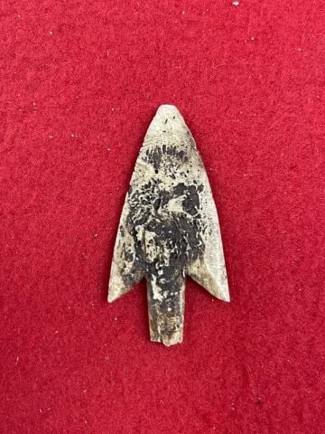Bone Arrow Point Indian Artifact Arrowhead - 2