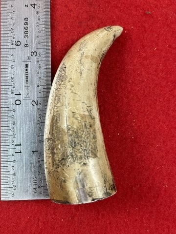 Scrimshaw Art in Resin Indian Artifact Arrowhead: KEY WORDS: INDIAN ARTIFACT ARTIFACTS ARROWHEAD ARROWHEADS NATIVE AMERICAN MISSISSIPPIAN QUAPAW CADDO POTTERY COINS MORGAN DOLLAR PEACE DOLLAR SILVER COINS. All coins have been Sigma tested for