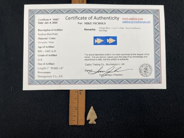Scallorn Bird Point with Sam Johnson COA from Montgomery County, AR Indian Artifact Arrowhead: KEY WORDS: INDIAN ARTIFACT ARTIFACTS ARROWHEAD ARROWHEADS NATIVE AMERICAN MISSISSIPPIAN QUAPAW CADDO POTTERY COINS MORGAN DOLLAR PEACE DOLLAR SILVER COINS. All coins have been Sigma tested for authent