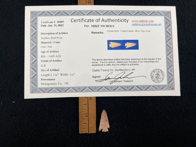 Scallorn Bird Point with Sam Johnson COA from Montgomery County, AR Indian Artifact Arrowhead: KEY WORDS: INDIAN ARTIFACT ARTIFACTS ARROWHEAD ARROWHEADS NATIVE AMERICAN MISSISSIPPIAN QUAPAW CADDO POTTERY COINS MORGAN DOLLAR PEACE DOLLAR SILVER COINS. All coins have been Sigma tested for authent