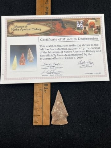 Bird Point with Museum Card Indian Artifact Arrowhead: KEY WORDS: INDIAN ARTIFACT ARTIFACTS ARROWHEAD ARROWHEADS NATIVE AMERICAN MISSISSIPPIAN QUAPAW CADDO POTTERY COINS MORGAN DOLLAR PEACE DOLLAR SILVER COINS. All coins have been Sigma tested for