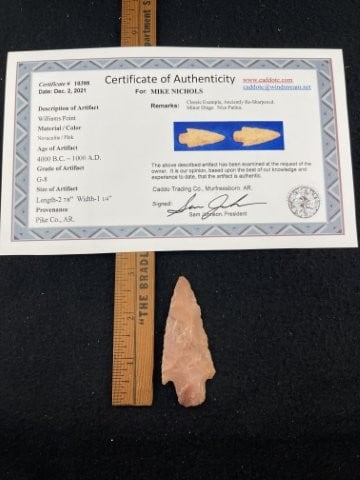 Williams Point with Sam Johnson COA from Pike County, AR Indian Artifact Arrowhead: KEY WORDS: INDIAN ARTIFACT ARTIFACTS ARROWHEAD ARROWHEADS NATIVE AMERICAN MISSISSIPPIAN QUAPAW CADDO POTTERY COINS MORGAN DOLLAR PEACE DOLLAR SILVER COINS. All coins have been Sigma tested for authent