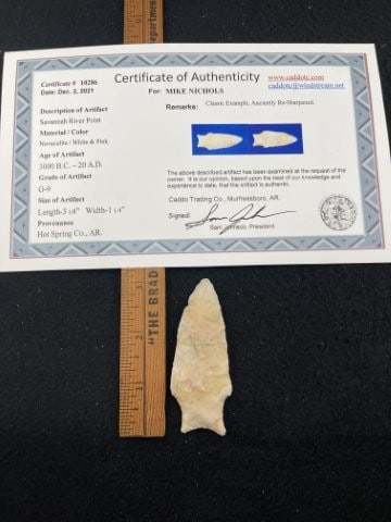 Savannah River Point with Sam Johnson COA from Hot Springs County, AR Indian Artifact Arrowhead: KEY WORDS: INDIAN ARTIFACT ARTIFACTS ARROWHEAD ARROWHEADS NATIVE AMERICAN MISSISSIPPIAN QUAPAW CADDO POTTERY COINS MORGAN DOLLAR PEACE DOLLAR SILVER COINS. All coins have been Sigma tested for authent
