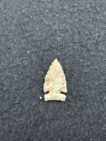 Gem Quality Arrow Point - 2