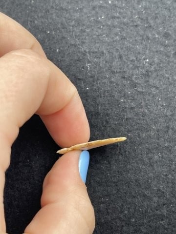 Gem Quality Arrow Point - 3