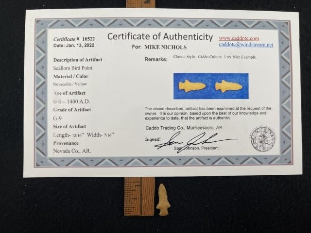 Scallorn Bird Point with Sam Johnson COA from Nevada County, AR Indian Artifact Arrowhead: KEY WORDS: INDIAN ARTIFACT ARTIFACTS ARROWHEAD ARROWHEADS NATIVE AMERICAN MISSISSIPPIAN QUAPAW CADDO POTTERY COINS MORGAN DOLLAR PEACE DOLLAR SILVER COINS. All coins have been Sigma tested for authent
