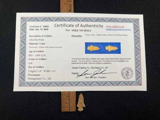 Alba Bird Point with Sam Johnson COA from Montgomery County, AR Indian Artifact Arrowhead: KEY WORDS: INDIAN ARTIFACT ARTIFACTS ARROWHEAD ARROWHEADS NATIVE AMERICAN MISSISSIPPIAN QUAPAW CADDO POTTERY COINS MORGAN DOLLAR PEACE DOLLAR SILVER COINS. All coins have been Sigma tested for authent