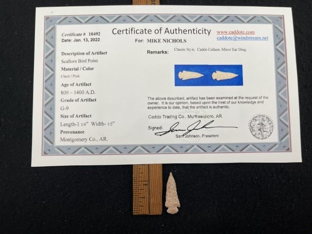 Scallorn Bird Point with Sam Johnson COA from Montgomery County, AR Indian Artifact Arrowhead (1 of 5)