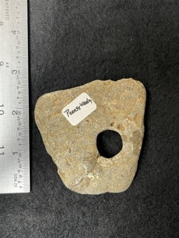 Pendant Indian Artifact Arrowhead: KEY WORDS: INDIAN ARTIFACT ARTIFACTS ARROWHEAD ARROWHEADS NATIVE AMERICAN MISSISSIPPIAN QUAPAW CADDO POTTERY COINS MORGAN DOLLAR PEACE DOLLAR SILVER COINS. All coins have been Sigma tested for