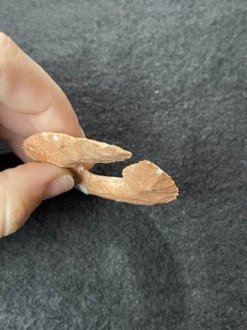 Eccentric Indian Artifact Arrowhead - 3