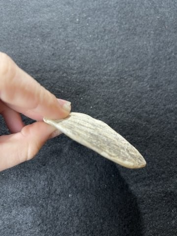 Shell Pendant Indian Artifact Arrowhead - 3
