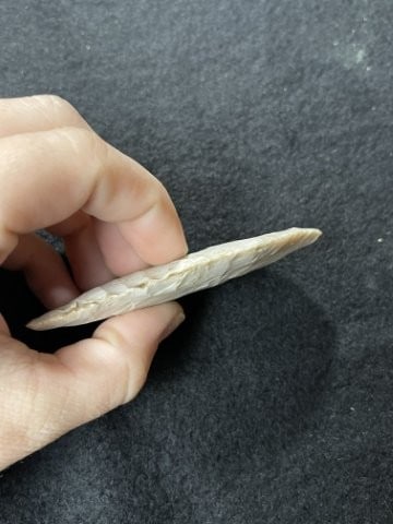 Clovis Indian Artifact Arrowhead - 3