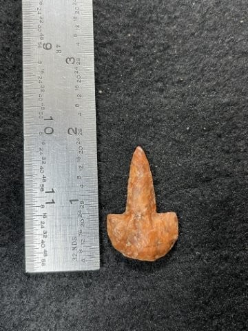 Drill Indian Artifact Arrowhead: KEY WORDS: INDIAN ARTIFACT ARTIFACTS ARROWHEAD ARROWHEADS NATIVE AMERICAN MISSISSIPPIAN QUAPAW CADDO POTTERY COINS MORGAN DOLLAR PEACE DOLLAR SILVER COINS. All coins have been Sigma tested for