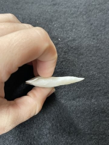 Arrow Point Indian Artifact Arrowhead - 3