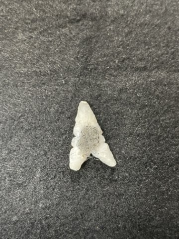 Cahokia Indian Artifact Arrowhead - 2