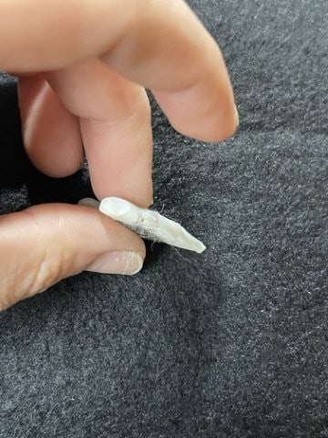 Cahokia Indian Artifact Arrowhead - 3