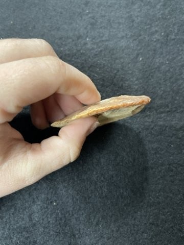 Arrow Point Indian Artifact Arrowhead - 3