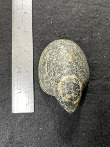 Bust Birdstone Indian Artifact Arrowhead - 2