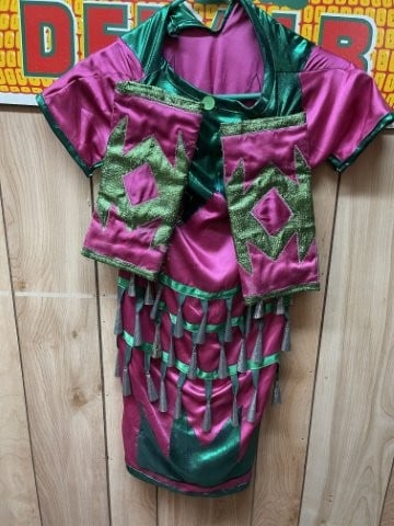 Dance Dress Indian Artifact Arrowhead: KEY WORDS: INDIAN ARTIFACT ARTIFACTS ARROWHEAD ARROWHEADS NATIVE AMERICAN MISSISSIPPIAN QUAPAW CADDO POTTERY COINS MORGAN DOLLAR PEACE DOLLAR SILVER COINS. All coins have been Sigma tested for